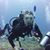 Andre Greber's profile image