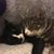 Jim Cioli's profile image