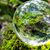 Pamela Salerno-Bell's profile image