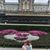 Diane Banks's profile image