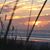 Amy Braswell Boyd's profile image