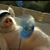 Elouise Bateman's profile image