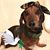 Diana Kessler's profile image