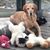 Debra Wagner's profile image
