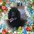 Melissa Baucum's profile image