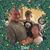 Susan Pierce Whicker's profile image