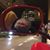 Peter G. Anderson's profile image