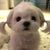 Sandra Lewis Davis's profile image