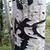 Derek Cannon Condie's profile image