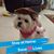 Sandy Magno's profile image