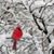 Carole Vogler's profile image