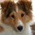 Lisa Schmick's profile image