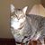 Mary Phiroz's profile image