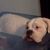 Lee Ann Cooper's profile image