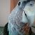 Suzanne McDonald Minter's profile image