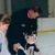 Sheila McDougall's profile image