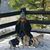 Lori Bailey-Smith's profile image