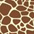 Jeffrey Gutke's profile image