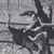 Craig Secrest's profile image