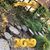 Brandy Caler's profile image