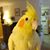 Sandra Johnson's profile image