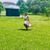 Malani A. Gibson's profile image