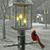 Donna Lee McLaughlin's profile image