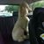 Linda Odelle Lassalle's profile image
