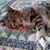 Deborah Osborn Graham's profile image