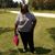 Brenda Cross's profile image