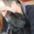 Gordon Plaut's profile image