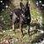 Jacqui Greco's profile image