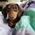 Melody Houston Wilder's profile image