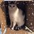 Lisa Burkhart's profile image