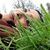 Parag Huq's profile image