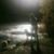 Jessica Anne Musgrove's profile image