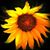 Heidi Powers's profile image