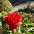 Marcia Matlick's profile image