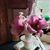 Teresa Winsett's profile image