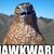 Blanket Hawkpanther's profile image