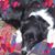 Lee Miller's profile image