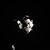 Pablo Lozano Jr.'s profile image