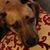 Jill Sands's profile image