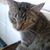 Sandra Pfeifer's profile image