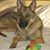 Karen Renae's profile image