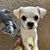 Pamela Grigsby's profile image