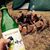 Survivorman Choe's profile image