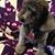 Shirley Brokaw's profile image