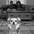 Cinthia Singleton's profile image