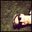 Jonathan Cunningham's profile image